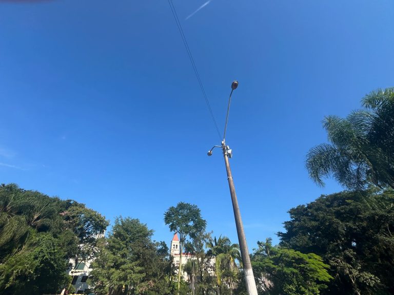 Foto: Divulgação PMU