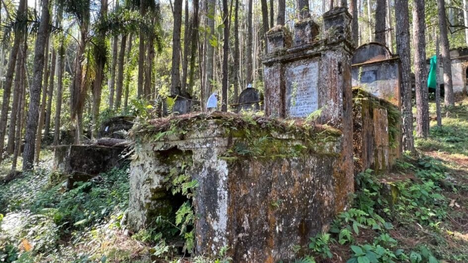Primeiro cemitério de imigrantes em SC/Pedras Grandes - Foto: Divulgação