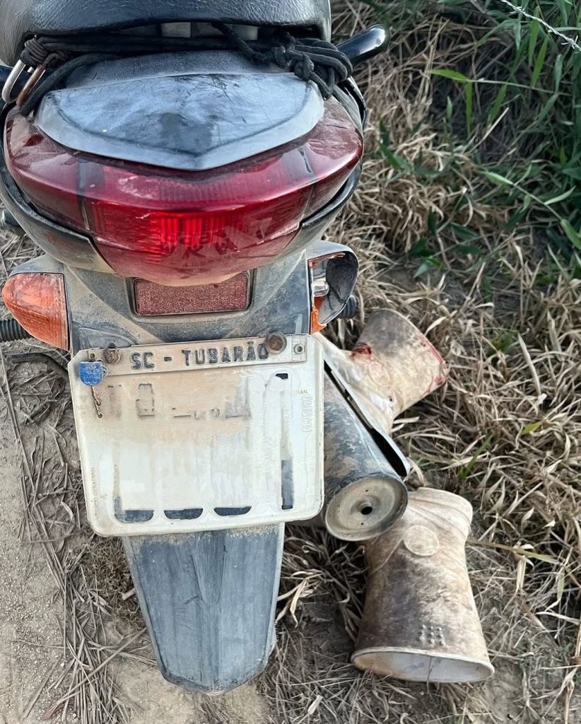 Fotos: Divulgação BVJ