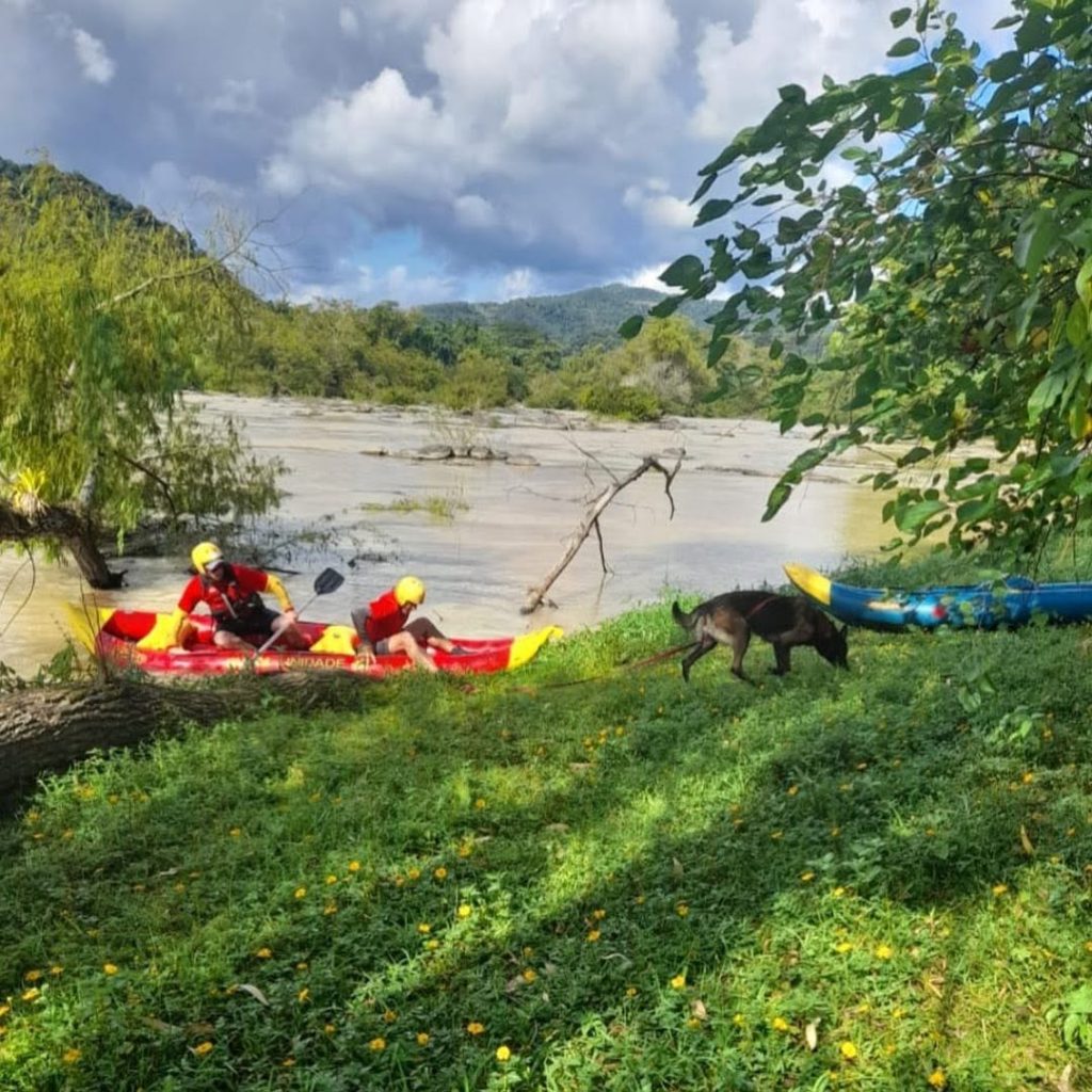 Fotos: Divulgação BVJ