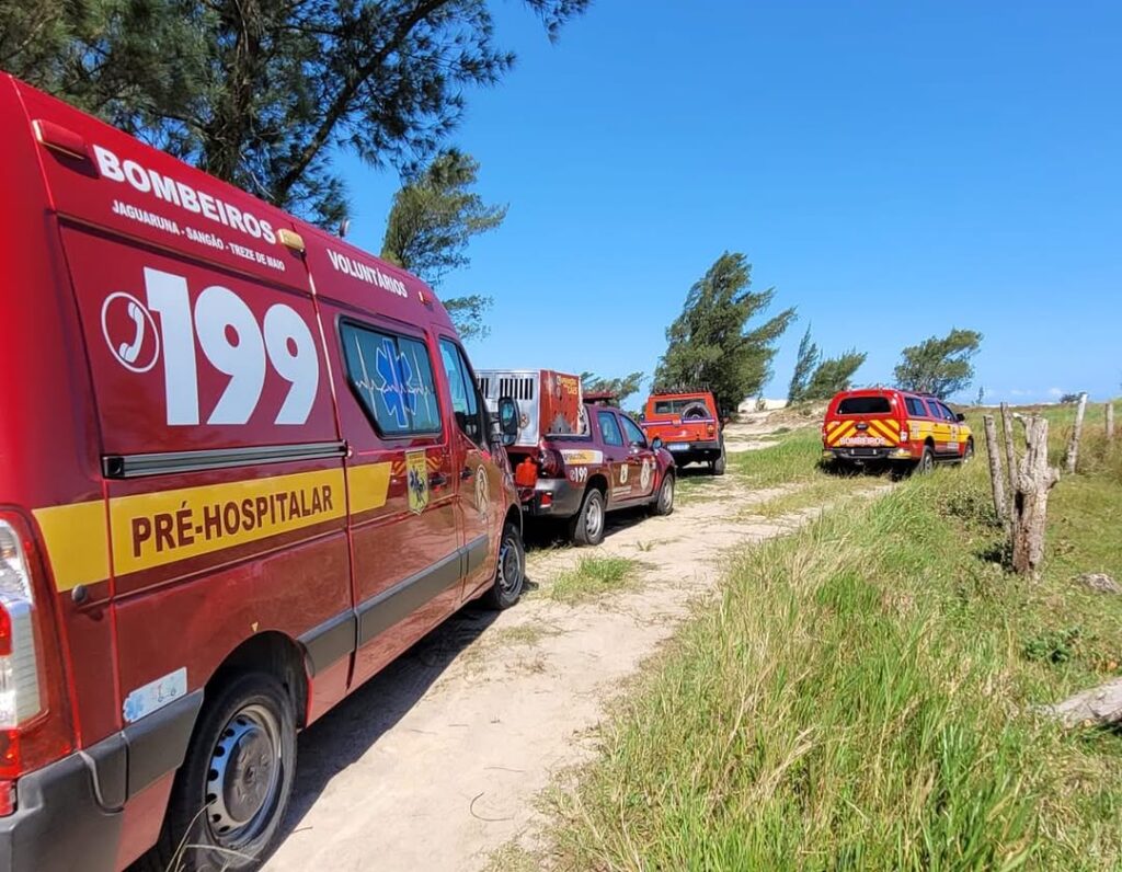 Fotos: Divulgação BVJ