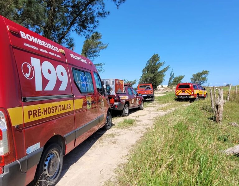 Fotos: Divulgação BVJ