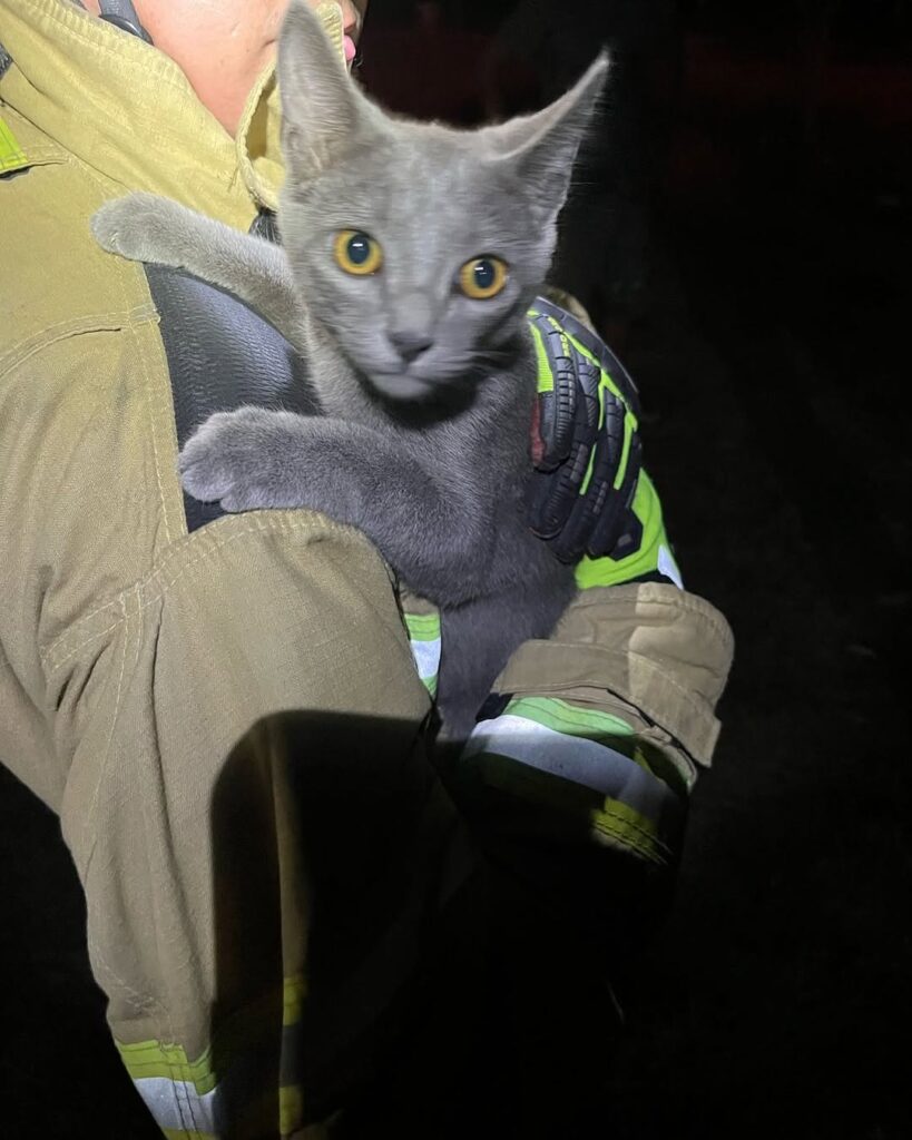 Foto: Divulgação BVJ