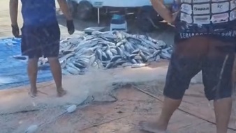Foto e vídeo: Reprodução Redes Sociais