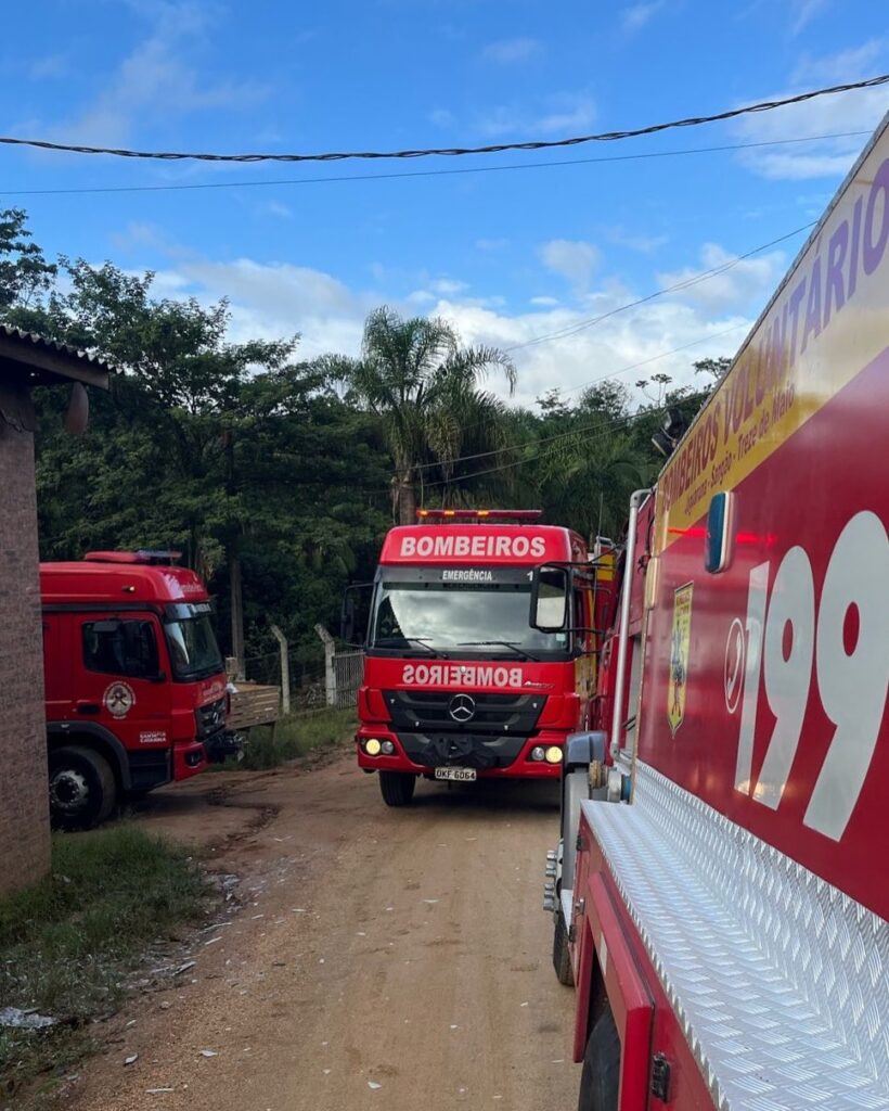 Fotos: Divulgação BVJ