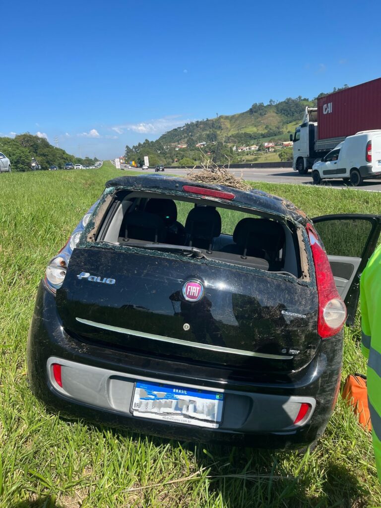 Fotos: Divulgação BVJ