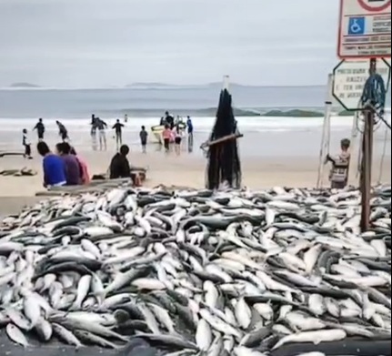 Foto e vídeo: @joaobaiukafarol