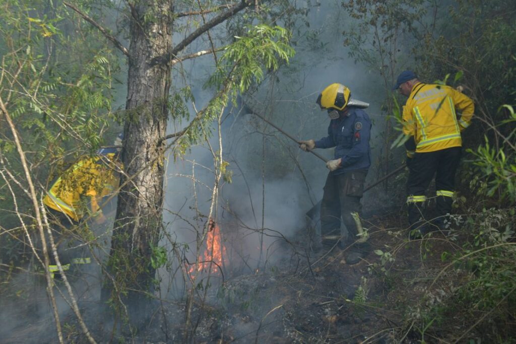 Fotos: Divulgação CBMSC