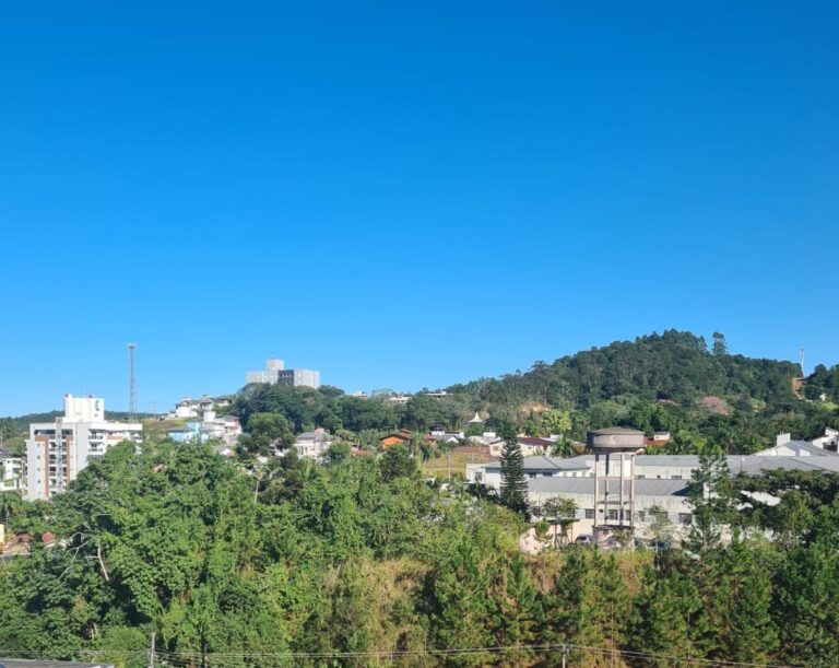 Foto: Portal Conexão Sul