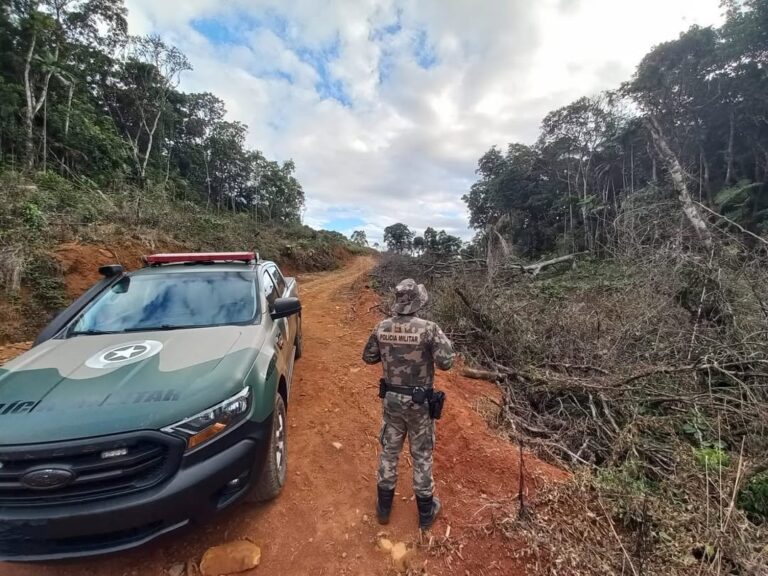 Fotos: Divulgação PMA
