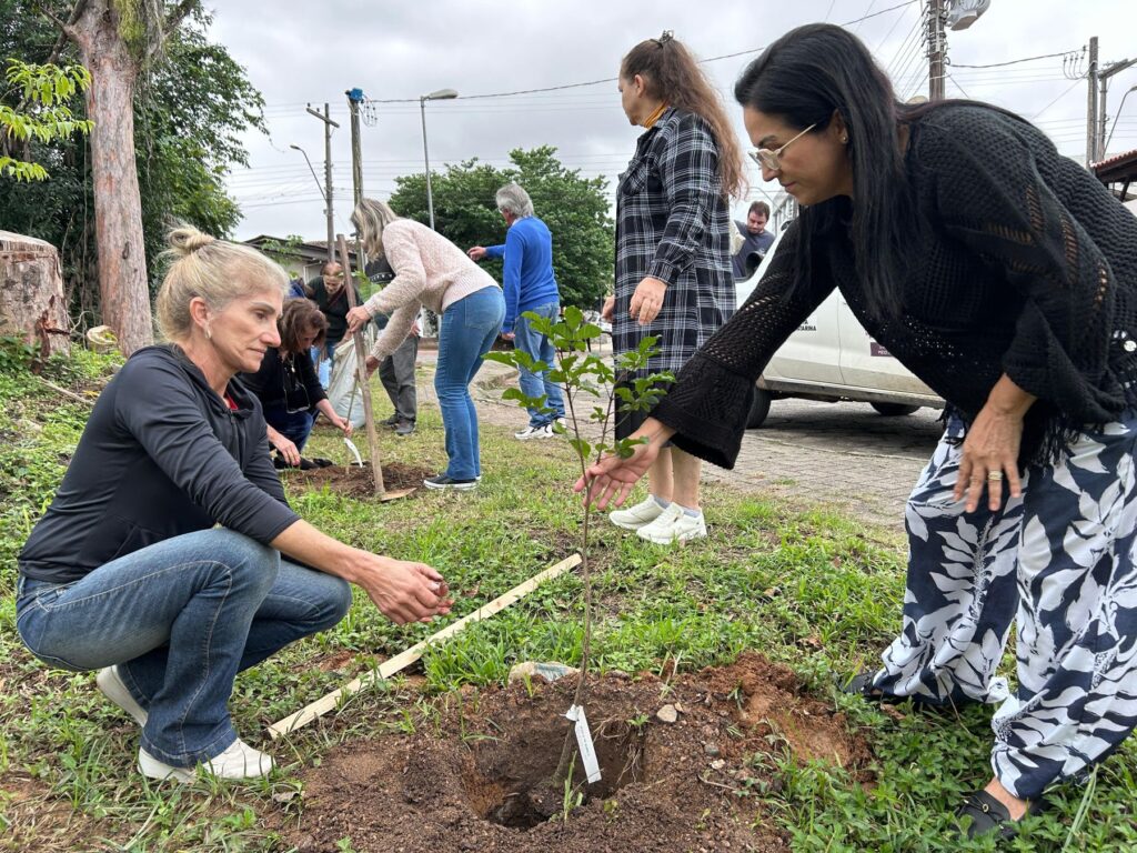Fotos: Divulgação