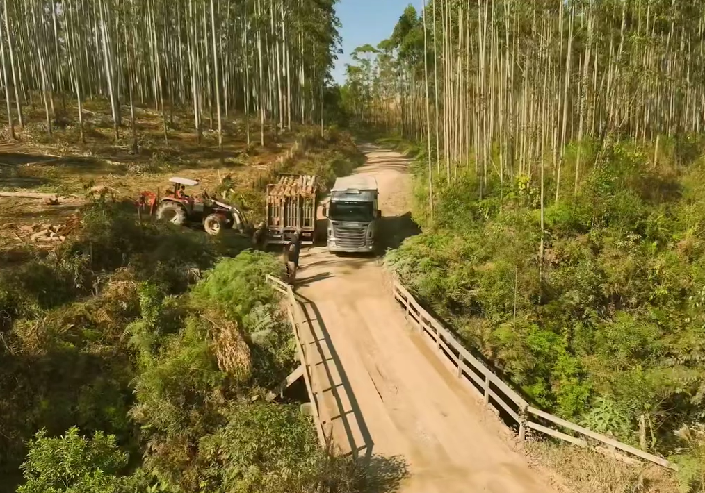 Fotos e vídeo: Divulgação