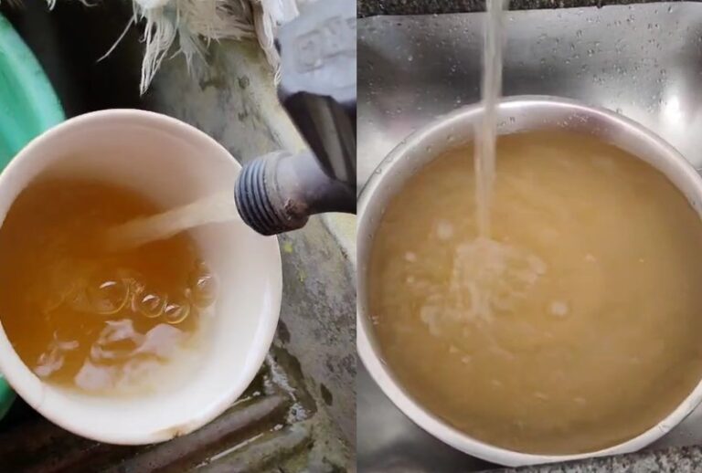 Fotos e vídeos: Reprodução Redes Sociais
