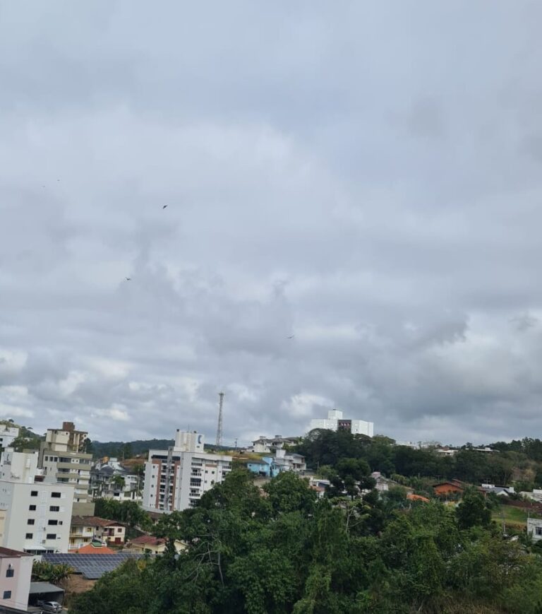 Foto: Portal Conexão Sul