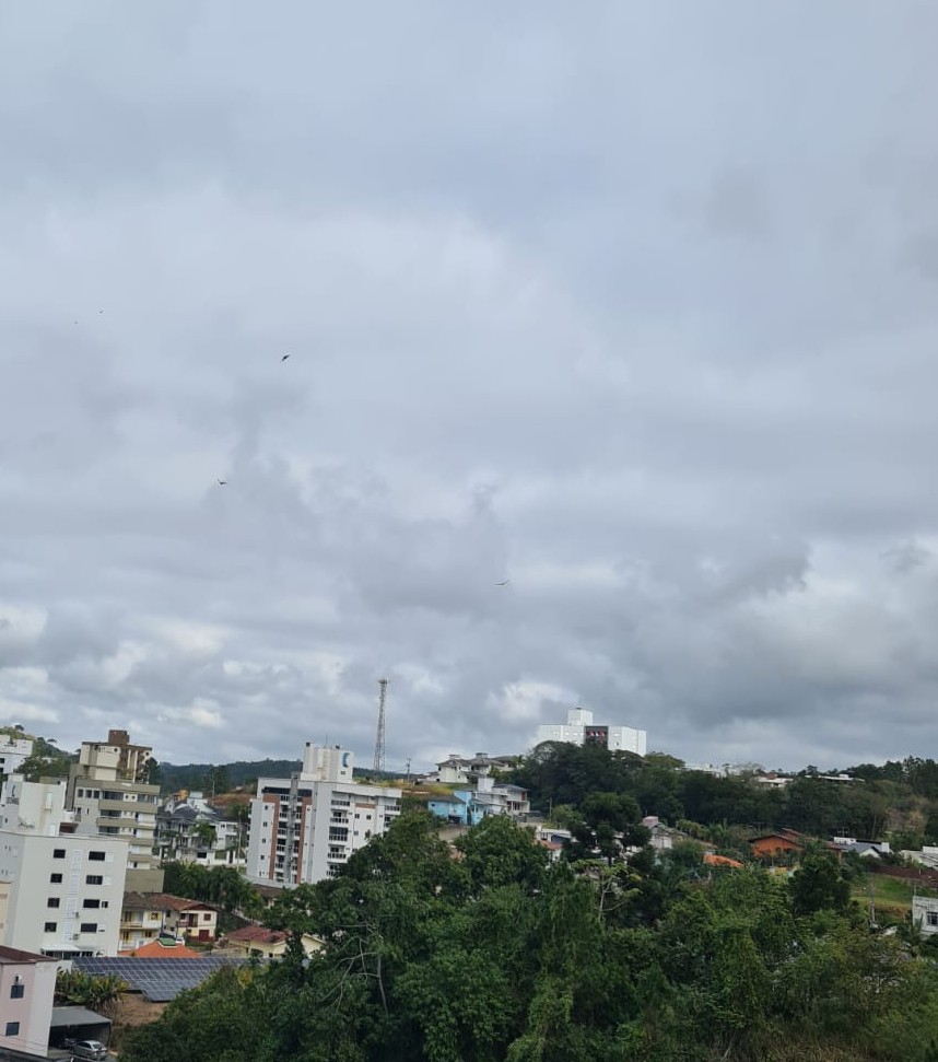 Foto: Portal Conexão Sul
