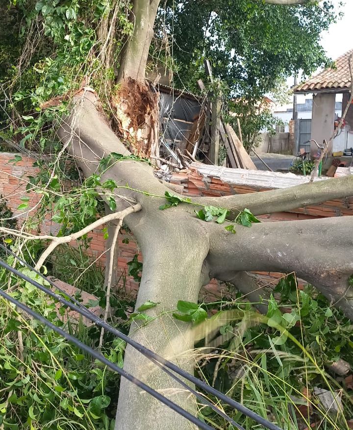 Fotos: Divulgação