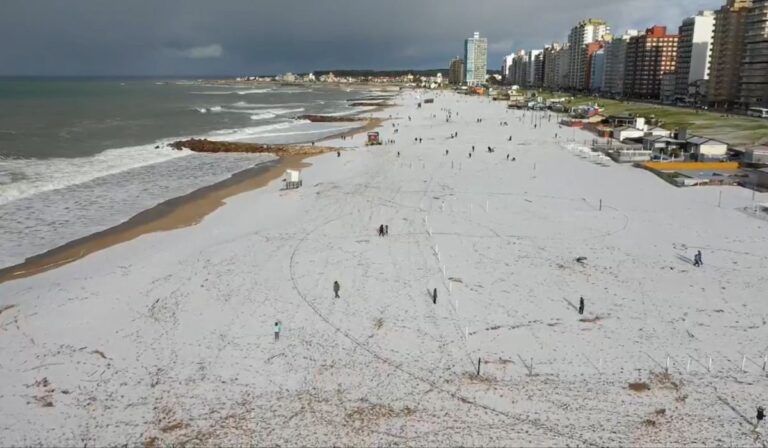 Foto e vídeos: Reprodução Redes Sociais