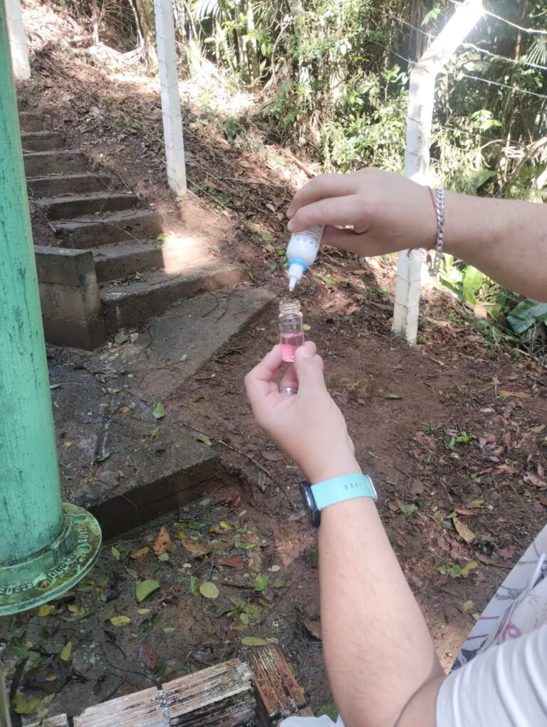Fotos: Divulgação