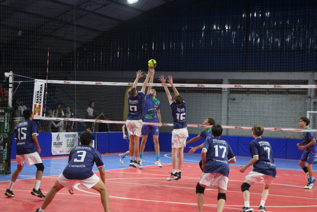 Fotos: Divulgação