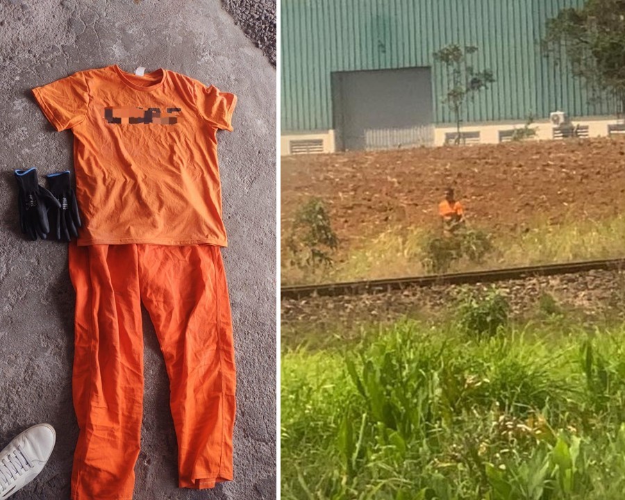 Fotos e vídeos: Reprodução Redes Sociais