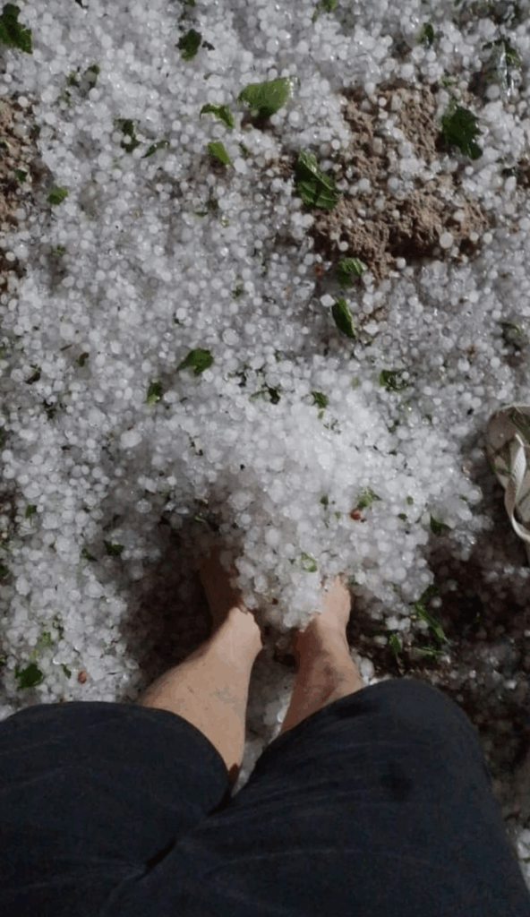 Foto e vídeo: Reprodução Redes Sociais