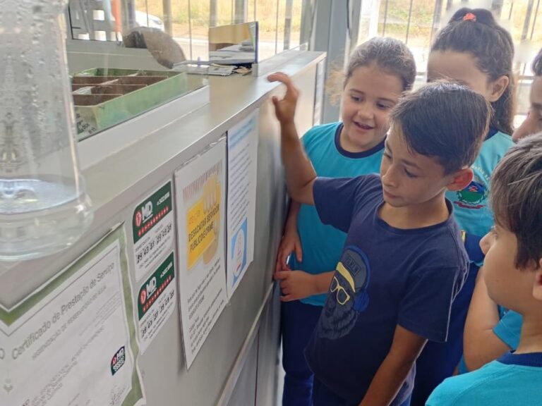Fotos: Divulgação