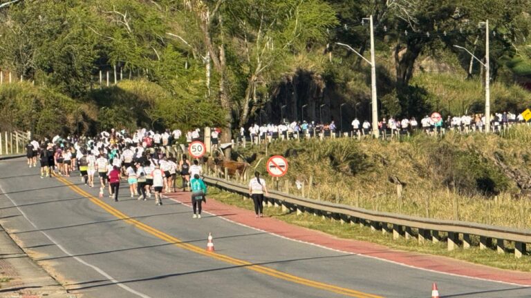 Fotos: Júlio Cancellier/Divulgação