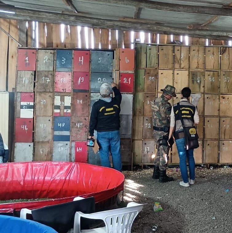 Fotos: Divulgação PMSC Ambiental