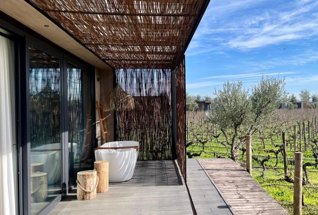 Loft em meio as parreiras de uvas Malbec no Chile - Foto: Arquivo Pessoal