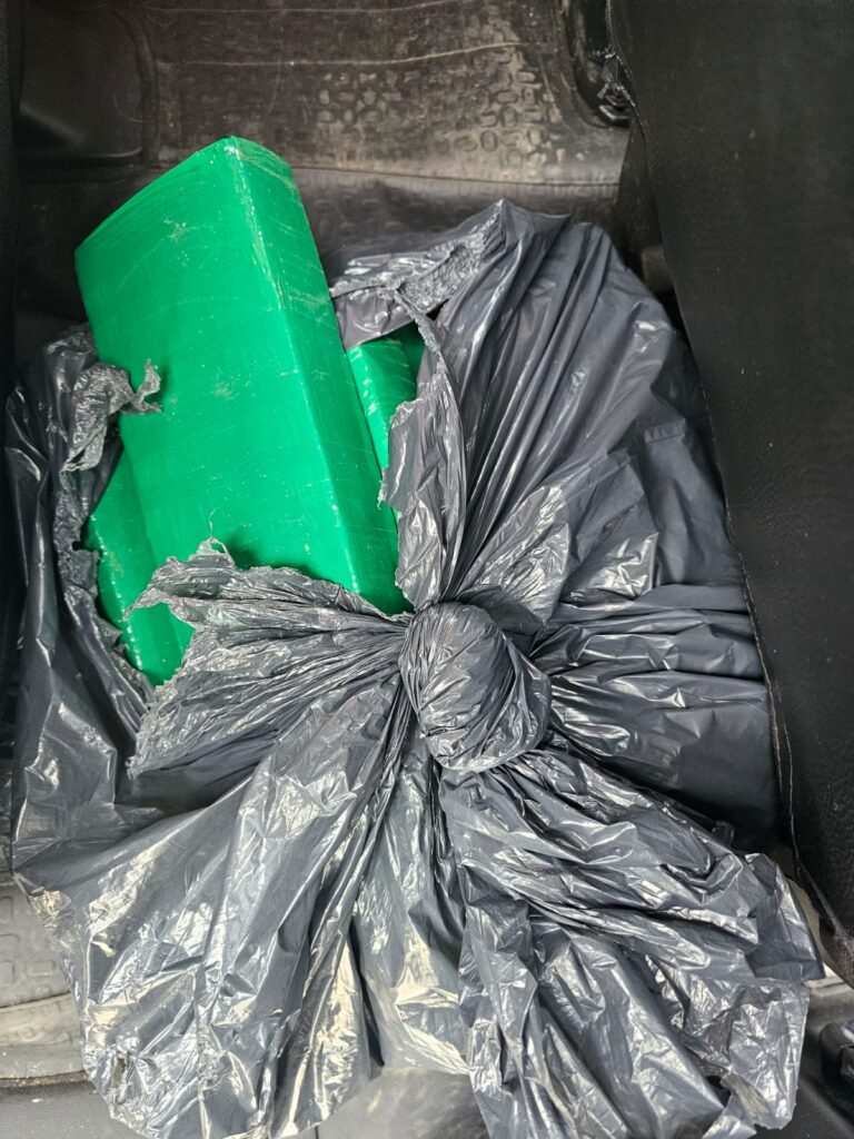 Foto e vídeo: Divulgação PRFSC