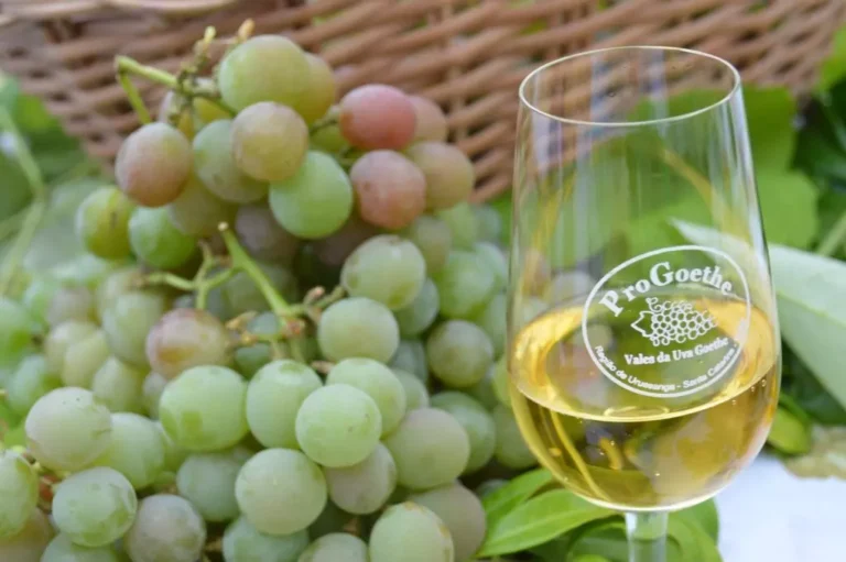 Foto: Eliana Maccari