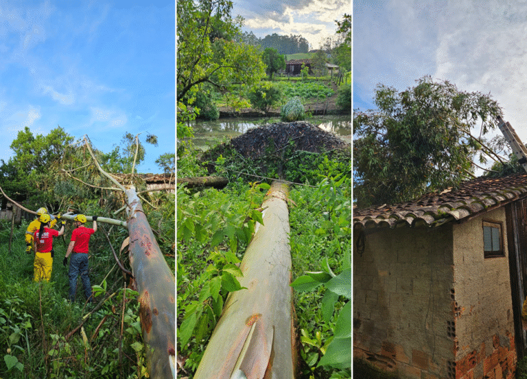 Foto: Divulgação CBMSC