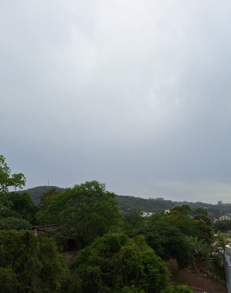 Foto: Portal Conexão Sul