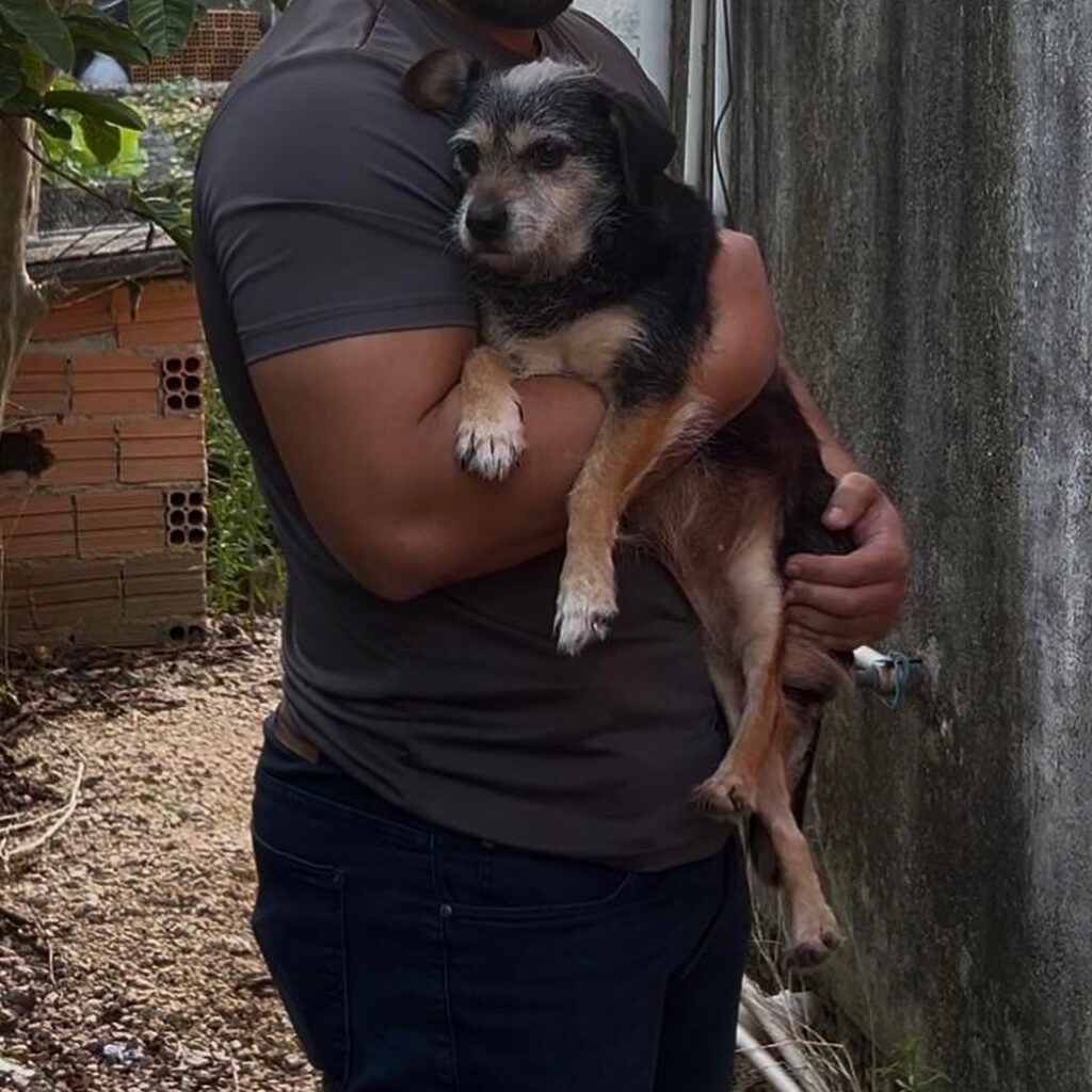 Fotos: Divulgação PCSC