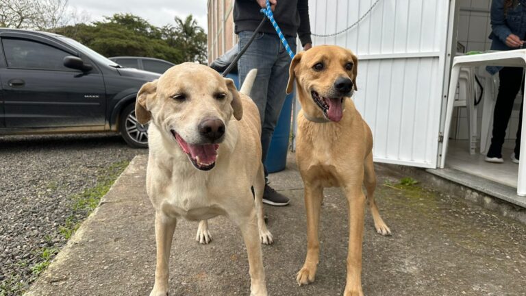 Foto: Pauline De Rock 