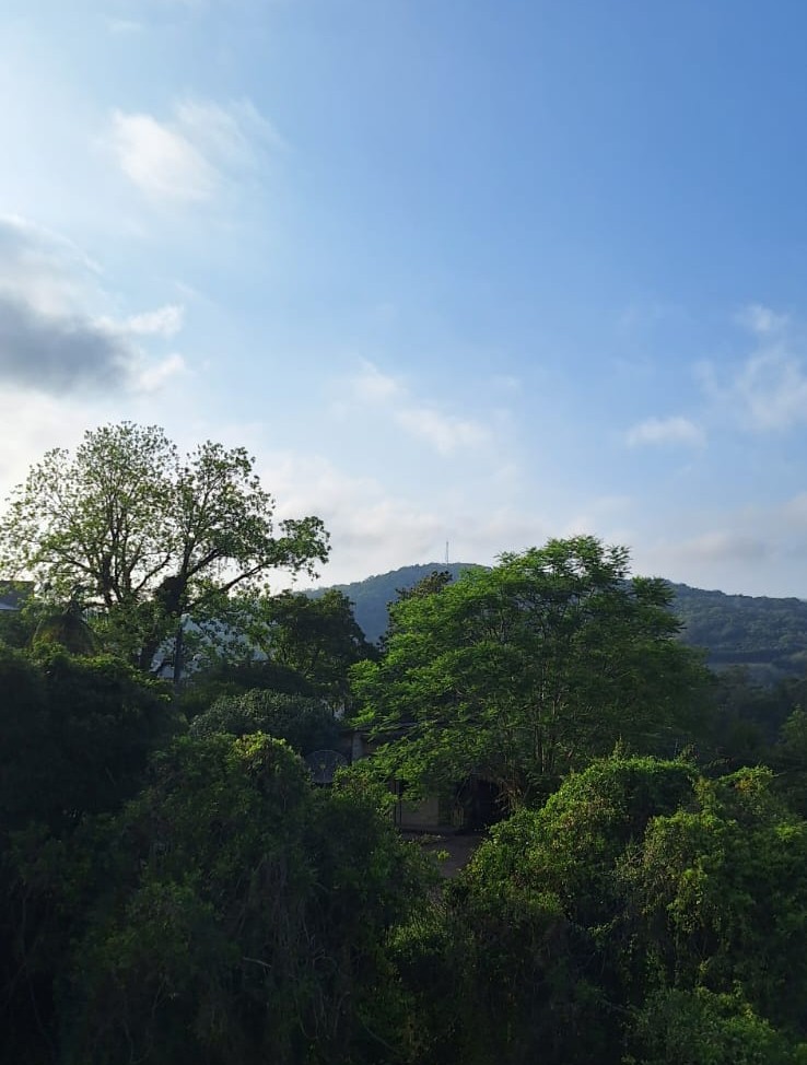 Foto: Portal Conexão Sul