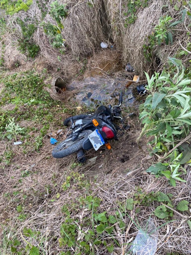 Fotos: Divulgação BVJ