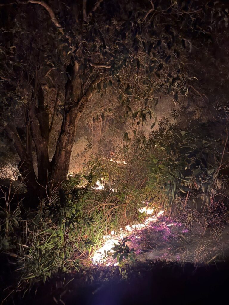 Foto e vídeo: BVJ Divulgação