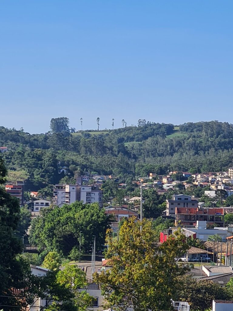 Foto: Portal Conexão Sul