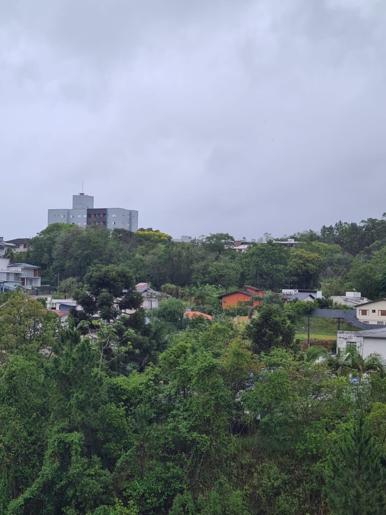 Foto: Portal Conexão Sul