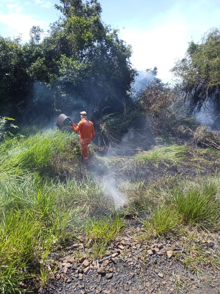 Foto: Divulgação BVJ