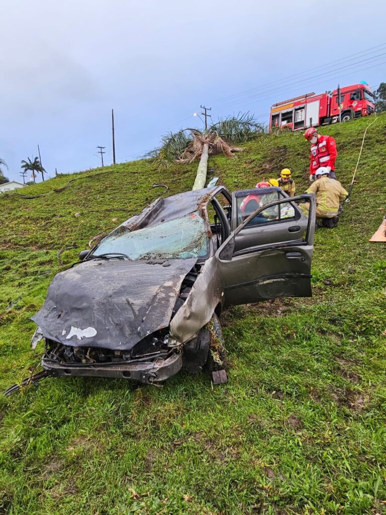 Fotos: Divulgação BVJ