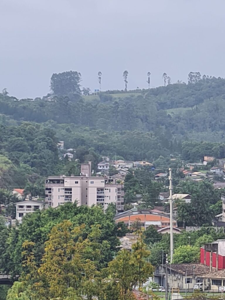 Foto: Portal Conexão Sul