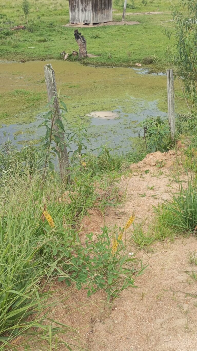 Foto: Divulgação CBMSC