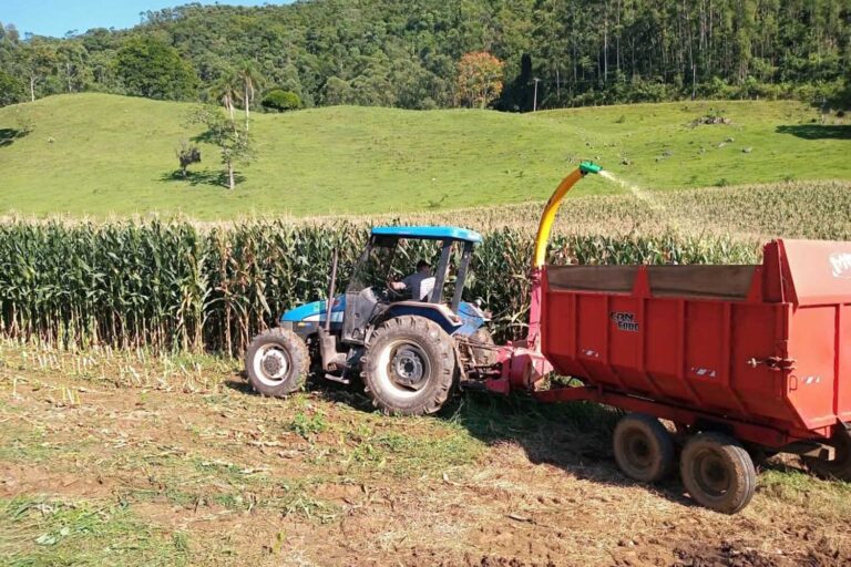 Foto: Ilustrativa/ Divulgação