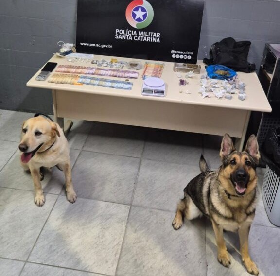 Foto: Divulgação PMSC