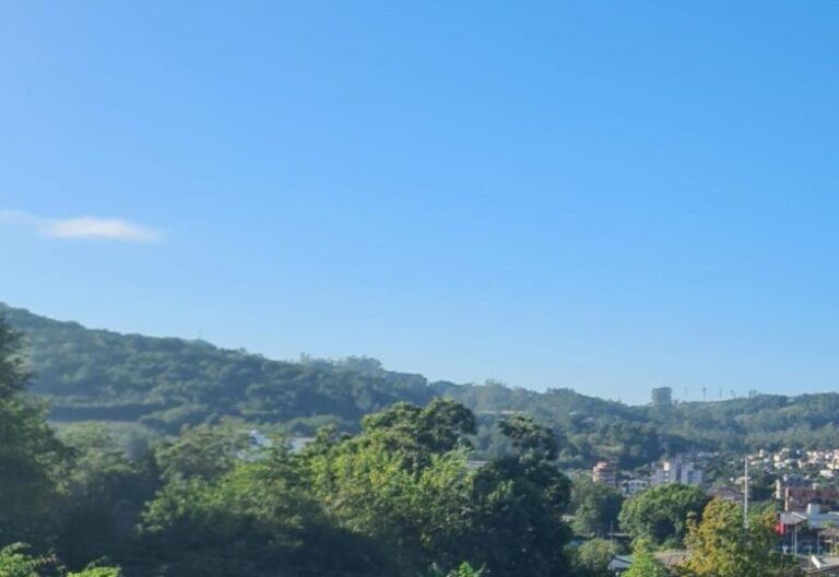 Foto: Portal Conexão Sul