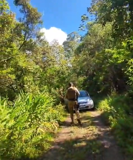 Foto e vídeo: Divulgação PMSC