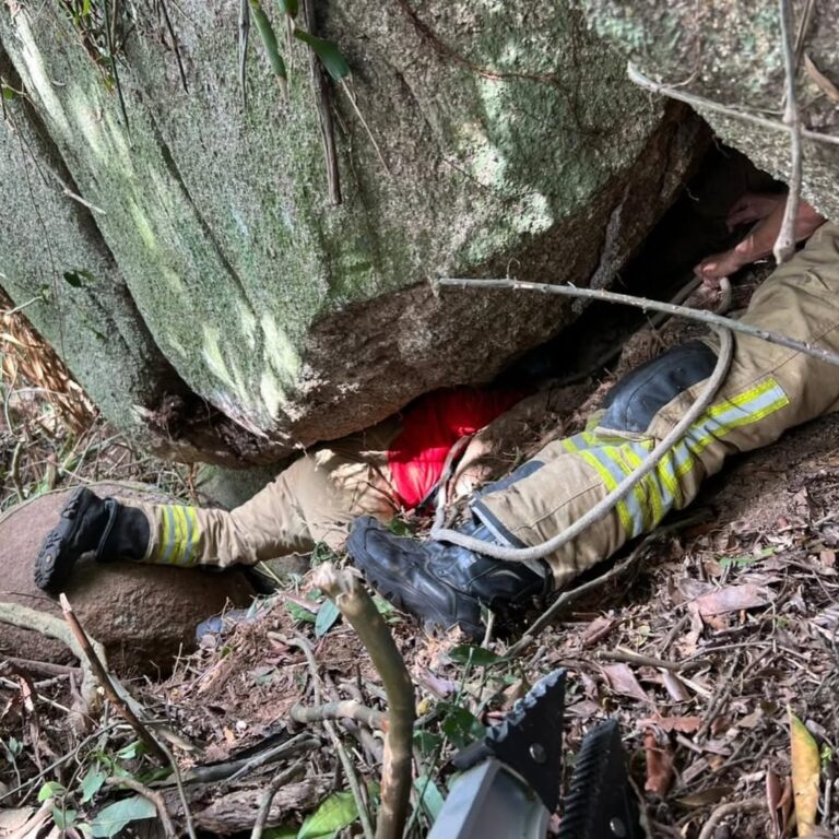 Fotos e vídeo: Divulgação BVJ