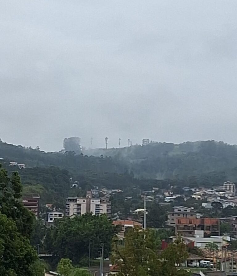 Foto: Portal Conexão Sul